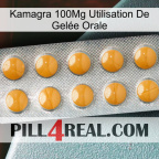 Kamagra 100Mg Utilisation De Gelée Orale levitra1